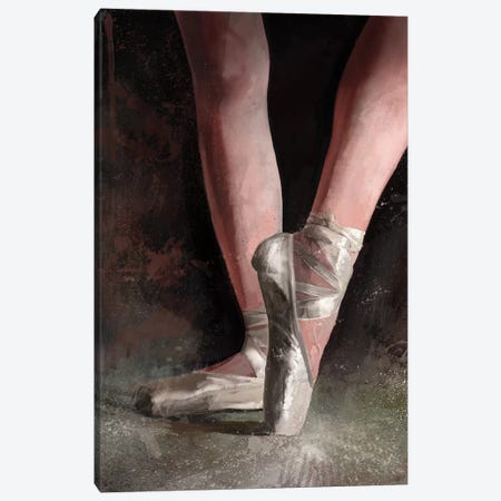Graceful Slippers Canvas Print #GOA15} by Steve Goad Canvas Artwork