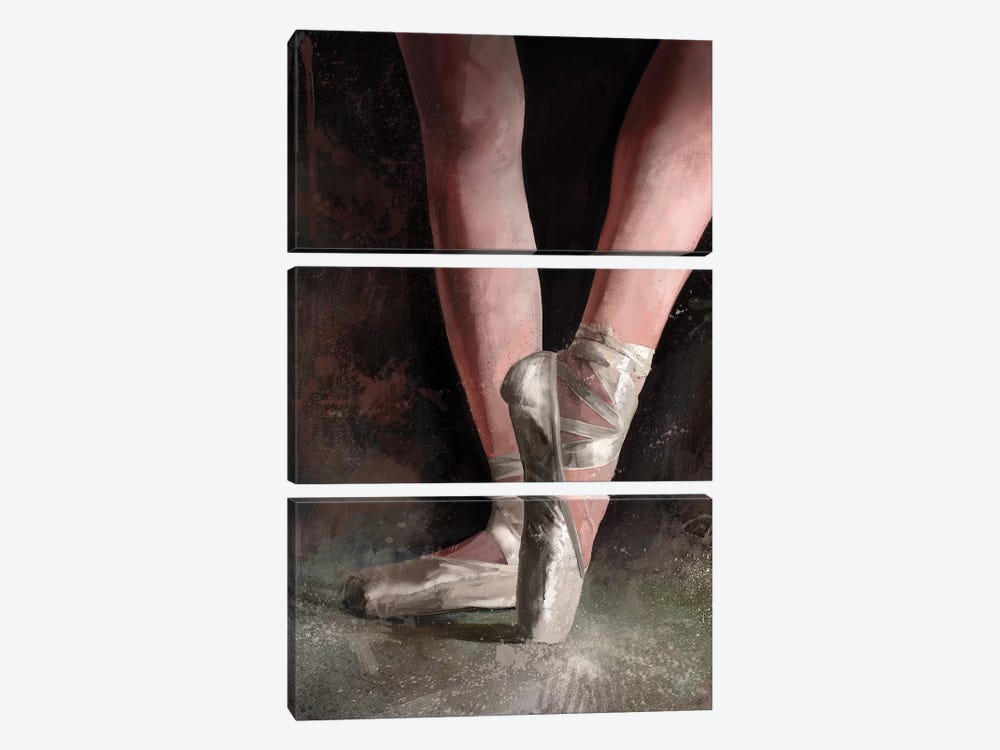 Graceful Slippers by Steve Goad 3-piece Art Print