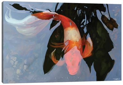 In The Shadows Canvas Art Print - Koi Fish Art
