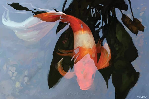 Koi: In The Shadows by Steve Goad