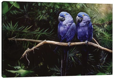 Twins Canvas Art Print - Parrot Art