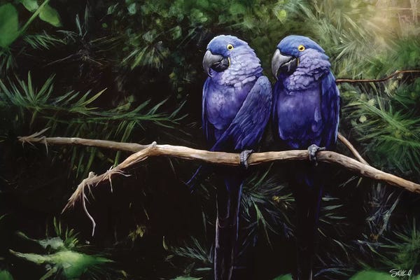 Steve Goad: Twins by Steve Goad