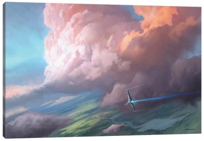Flight Canvas Art Print - Steve Goad