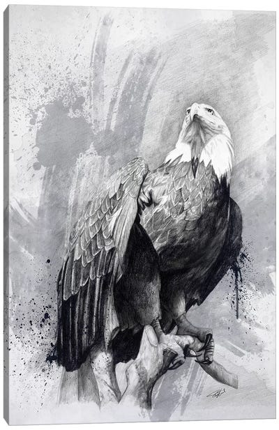 Bald Eagle Drawing Canvas Art Print - Eagle Art