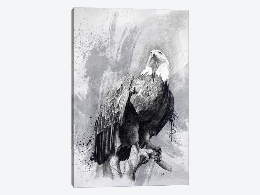 Bald Eagle Drawing by Steve Goad 1-piece Canvas Print