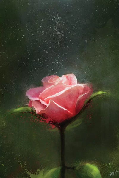 Subtle Beauty by Steve Goad framed wall art