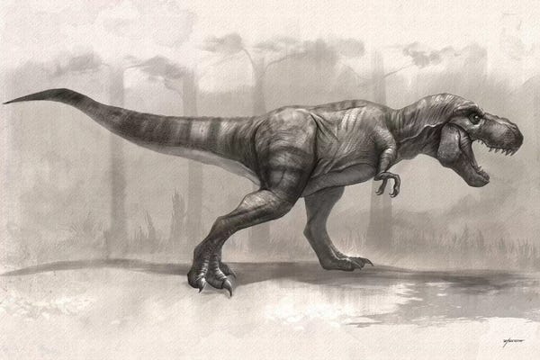 Prehistoric Animals: T-Rex Drawing by Steve Goad