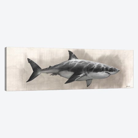 Great White Shark Drawing Canvas Print #GOA56} by Steve Goad Canvas Wall Art