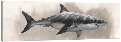 Great White Shark Drawing Canvas Art Print - 3-Piece Panoramic Art