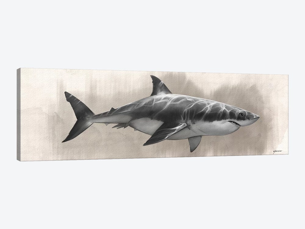 Great White Shark Drawing by Steve Goad 1-piece Canvas Art