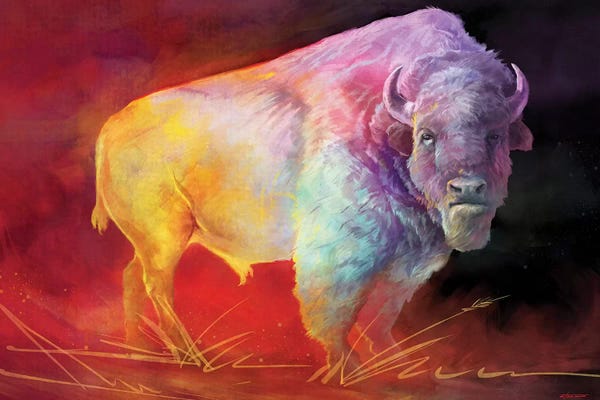Bison & Buffaloes: The Drifter by Steve Goad