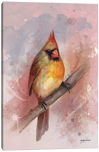 Female Cardinal Canvas Art Print - Steve Goad