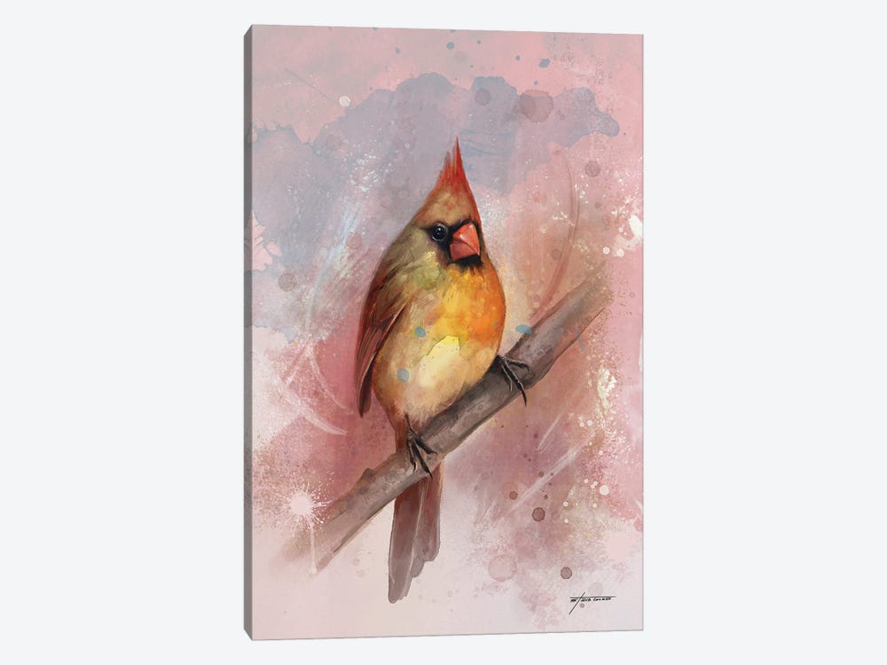 Female Cardinal by Steve Goad 1-piece Art Print