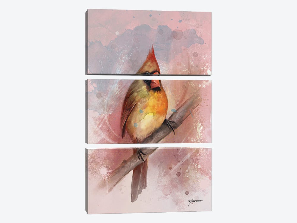 Female Cardinal by Steve Goad 3-piece Art Print