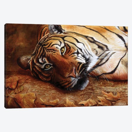 Bengal Tiger Canvas Print #GOA5} by Steve Goad Art Print