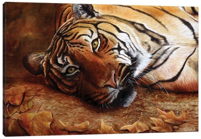 Bengal Tiger Canvas Art Print - Steve Goad