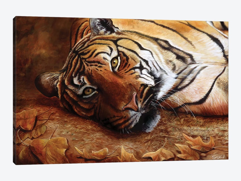 Bengal Tiger by Steve Goad 1-piece Canvas Art Print