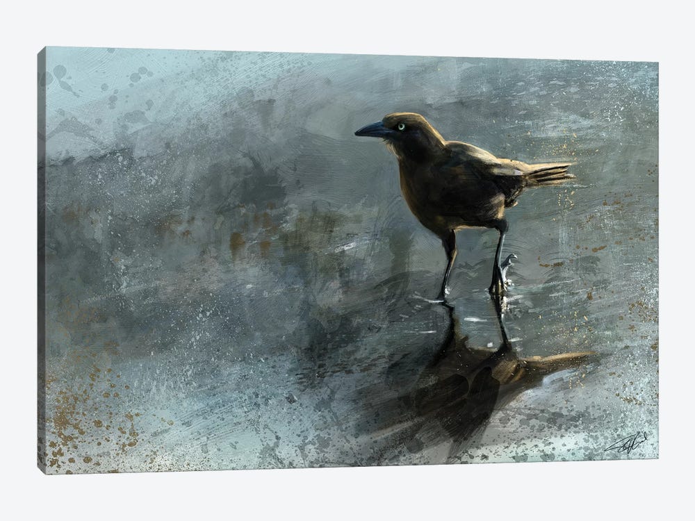Bird In A Puddle by Steve Goad 1-piece Canvas Art