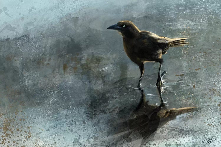Bird In A Puddle by Steve Goad wall art