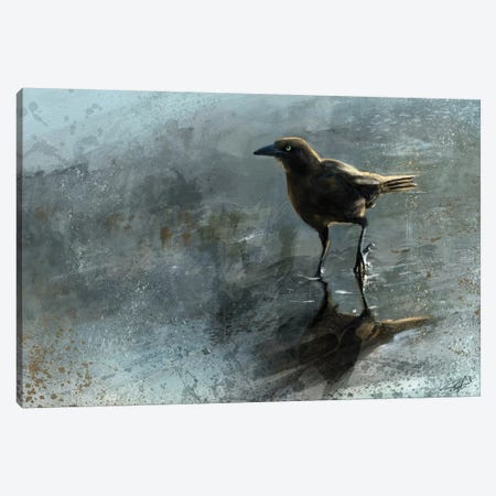 Bird In A Puddle Canvas Print #GOA6} by Steve Goad Canvas Art Print