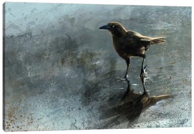 Bird In A Puddle Canvas Art Print - Steve Goad