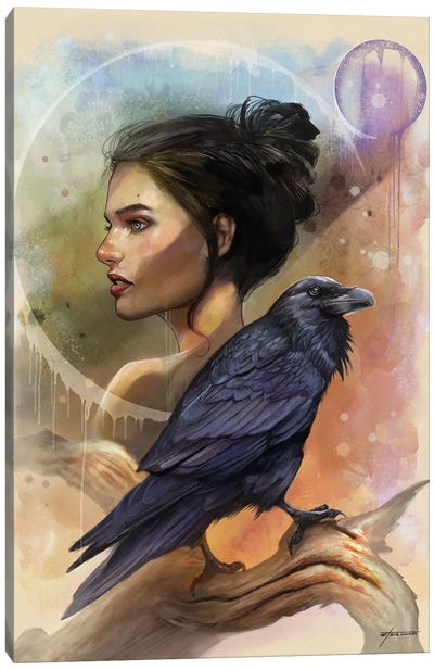 Elegant Provision Canvas Art Print - Raven Art