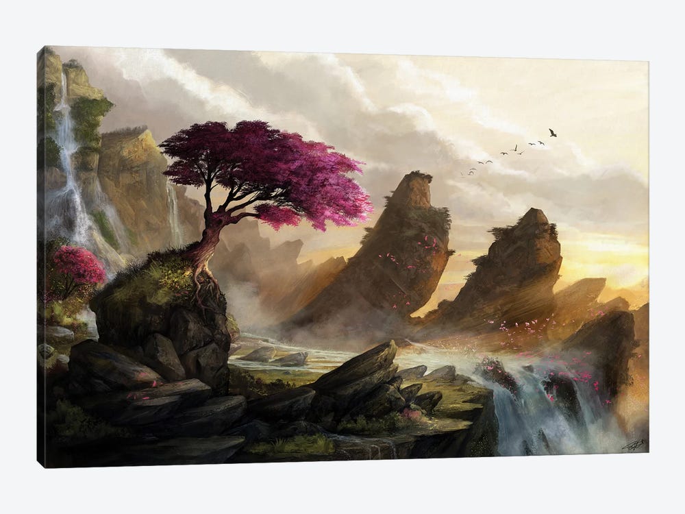 Blossom Sunset by Steve Goad 1-piece Canvas Art Print