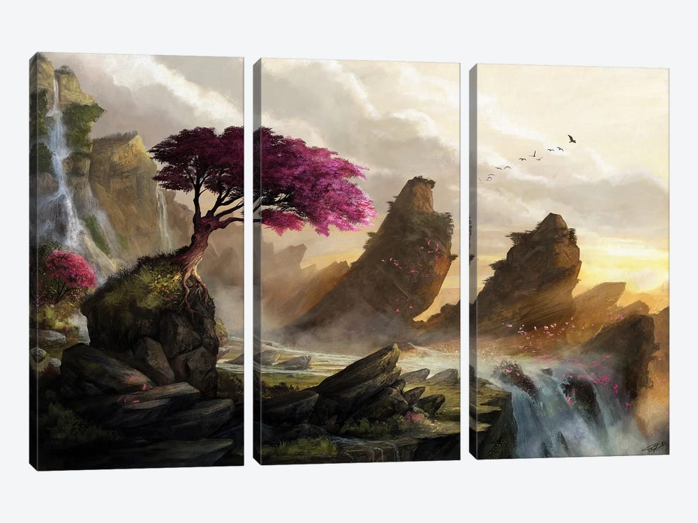 Blossom Sunset by Steve Goad 3-piece Canvas Print