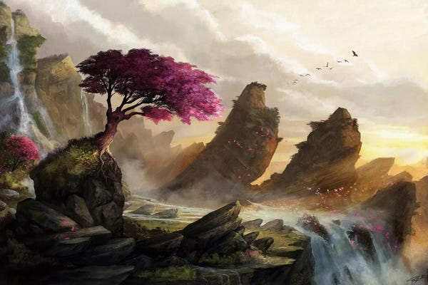 Waterfalls: Blossom Sunset by Steve Goad