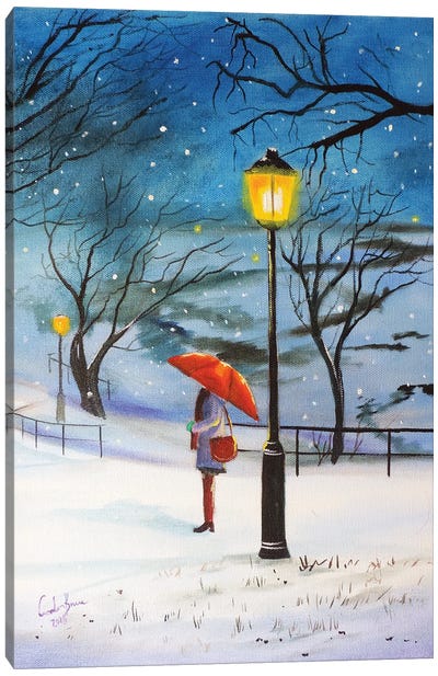 A Red Umbrella For Winter Canvas Art Print - Gordon Bruce
