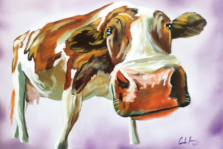 Brown & White Cow