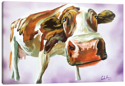 Brown & White Cow Canvas Art Print - Gordon Bruce