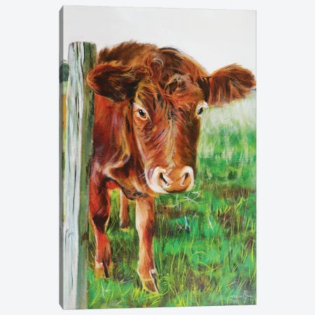 Brown Cow Canvas Print #GOB1} by Gordon Bruce Canvas Art Print
