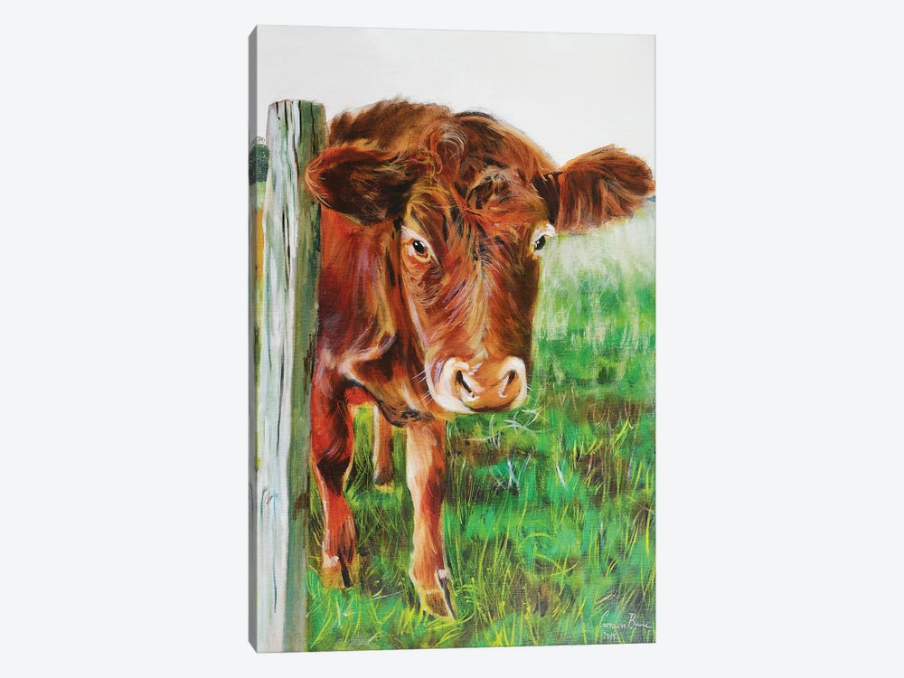 Brown Cow by Gordon Bruce 1-piece Canvas Artwork