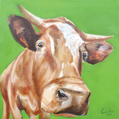 Close Up Cow by Gordon Bruce framed canvas print
