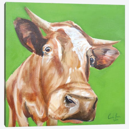 Close Up Cow Canvas Print #GOB22} by Gordon Bruce Art Print