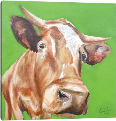 Close Up Cow Canvas Art Print