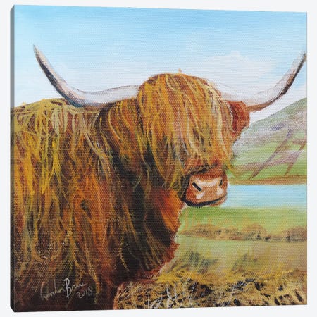 Highland Cow Canvas Print #GOB36} by Gordon Bruce Canvas Print