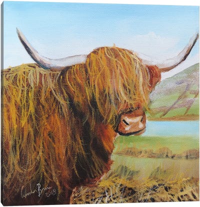 Highland Cow Canvas Art Print - Gordon Bruce