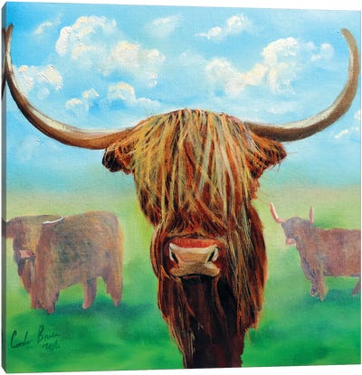 Highland Cows Canvas Art Print - Gordon Bruce