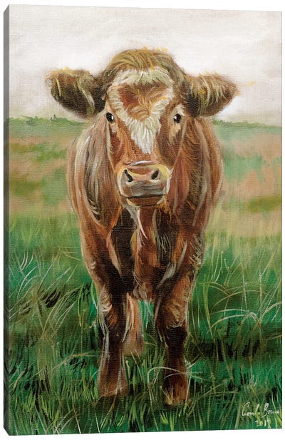 Portrait Of A Cow Canvas Art Print - Gordon Bruce