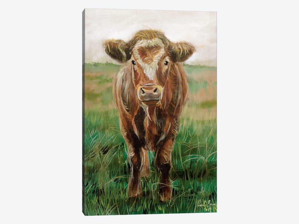 Portrait Of A Cow by Gordon Bruce 1-piece Canvas Art Print