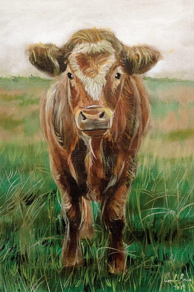 Modern Farmhouse Décor: Portrait Of A Cow by Gordon Bruce