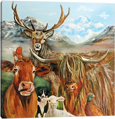 Scottish Locals Canvas Art Print - Highland Cow Art