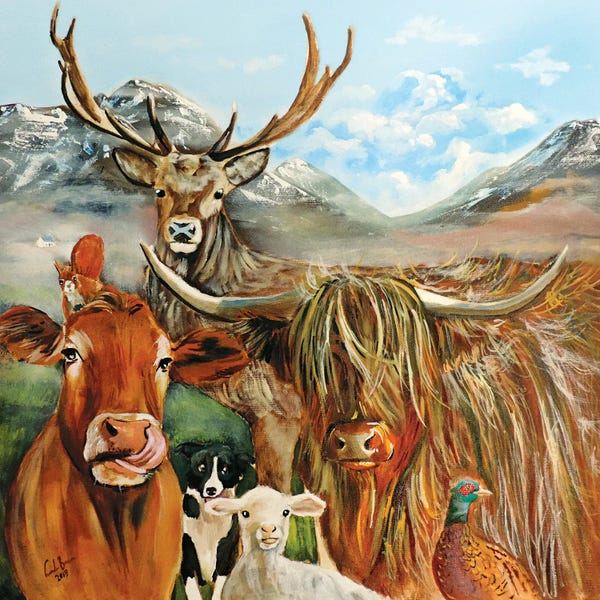 Sheep: Scottish Locals by Gordon Bruce