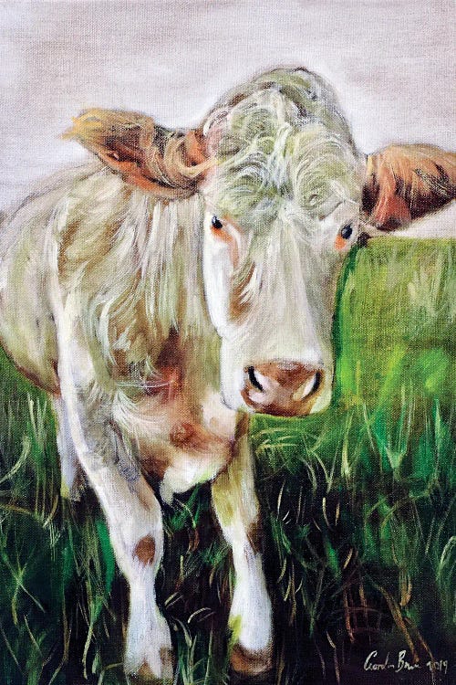 White Cow