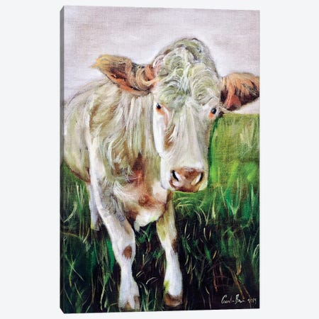 White Cow Canvas Print #GOB69} by Gordon Bruce Canvas Art Print
