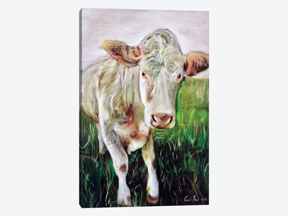 White Cow by Gordon Bruce 1-piece Canvas Art