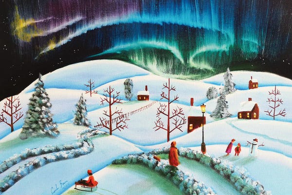 Aurora Borealis: The Northern Lights by Gordon Bruce