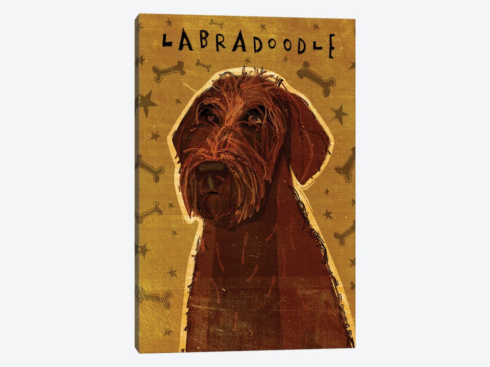 Labradoodle - Chocolate by John Golden 1-piece Canvas Wall Art